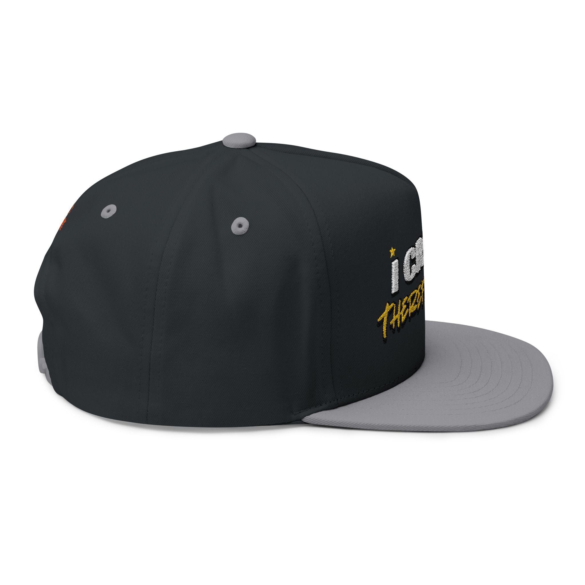 I Create, Therefore I Am Snapback