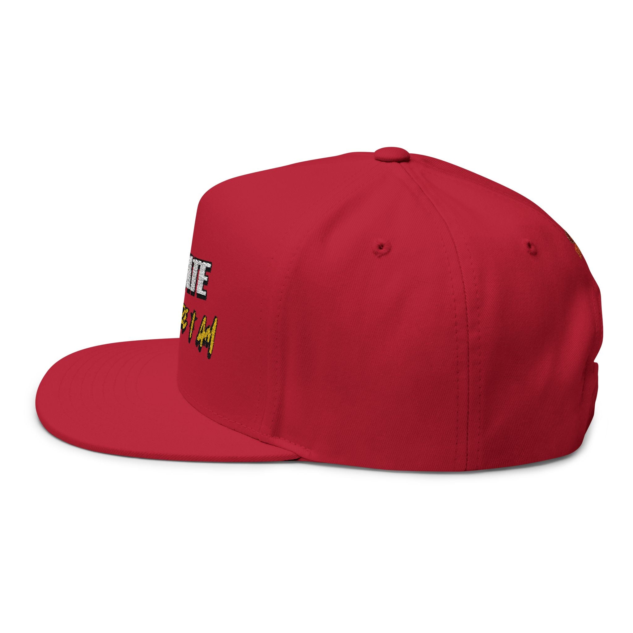 I Create, Therefore I Am Snapback