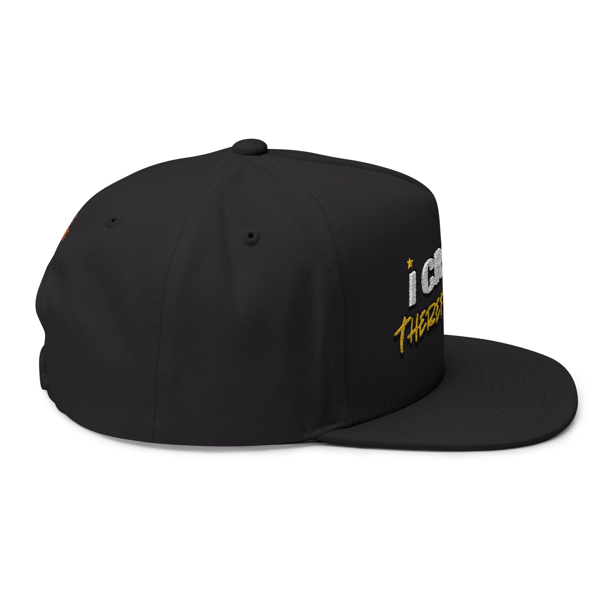 I Create, Therefore I Am Snapback