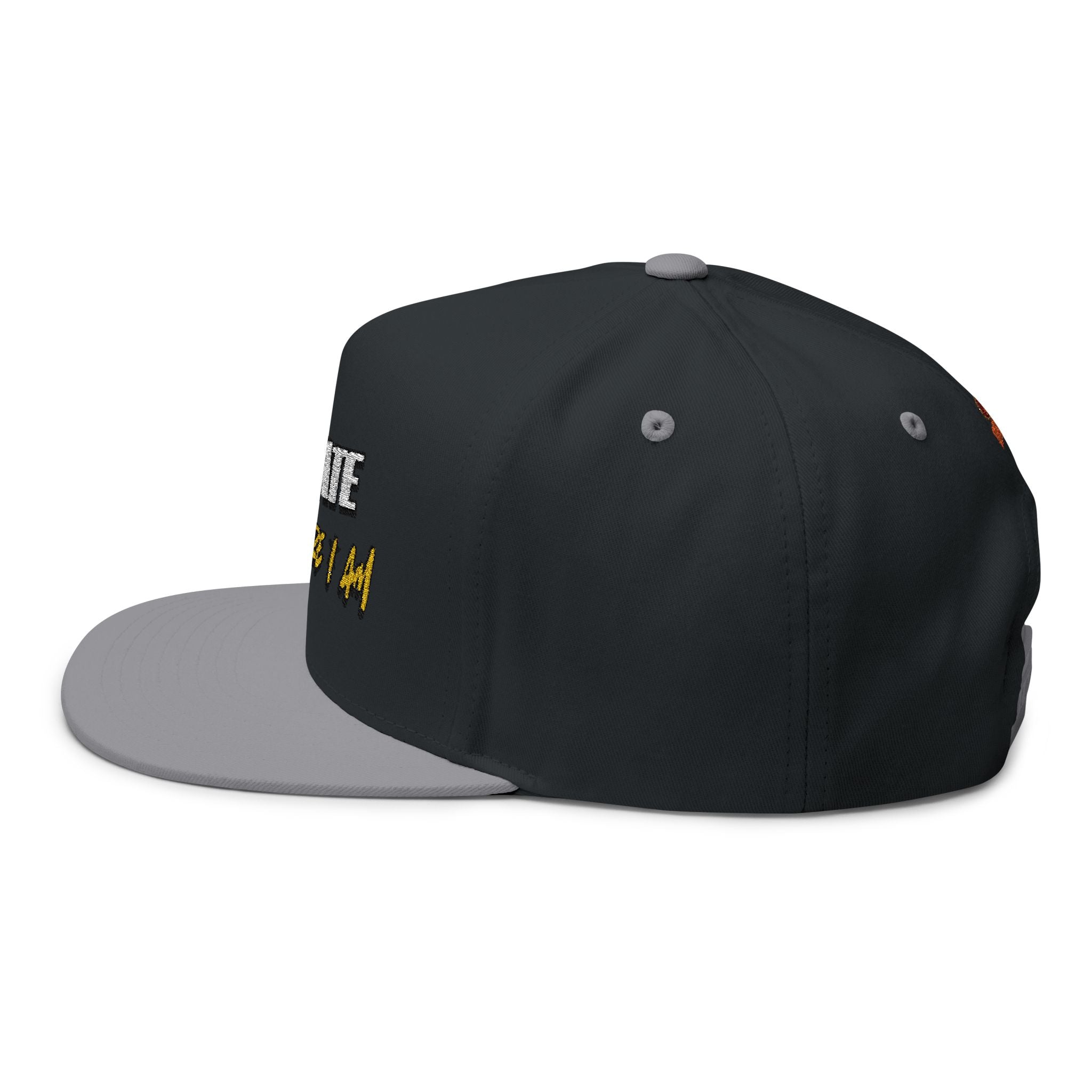 I Create, Therefore I Am Snapback